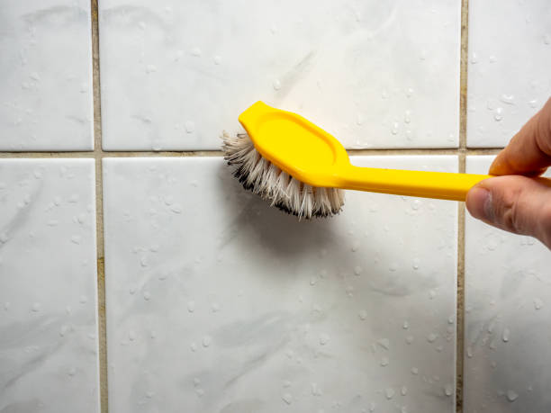 Best Mold Remediation Services  in Fallsburg, NY