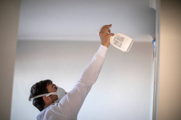 Best Residential Mold Removal  in Fallsburg, NY