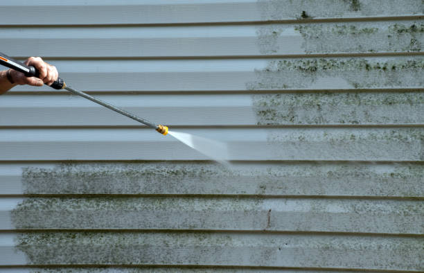 Home Mold Removal in Fallsburg, NY
