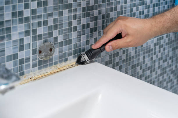 Best Mold Damage Repair  in Fallsburg, NY